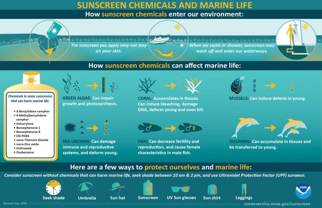 NOAA Infographic: Sunscreen Chemicals and Marine Life